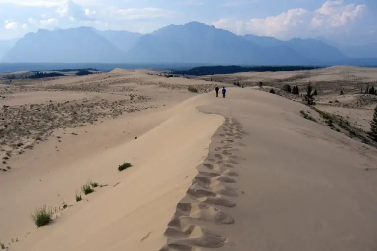 Chara Sands Discover A Mysterious Golden Siberian Desert   Chara Sands Siberia Tour Baikal 1 768x512 