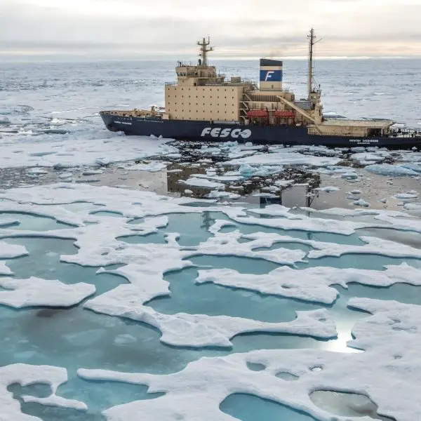 Wrangel Island Cruise - A Frontier of Adventure Cruising