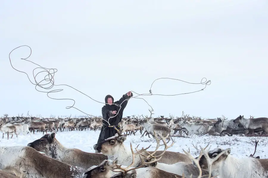 Yamal Nenets migration reindeer herders tour Siberia