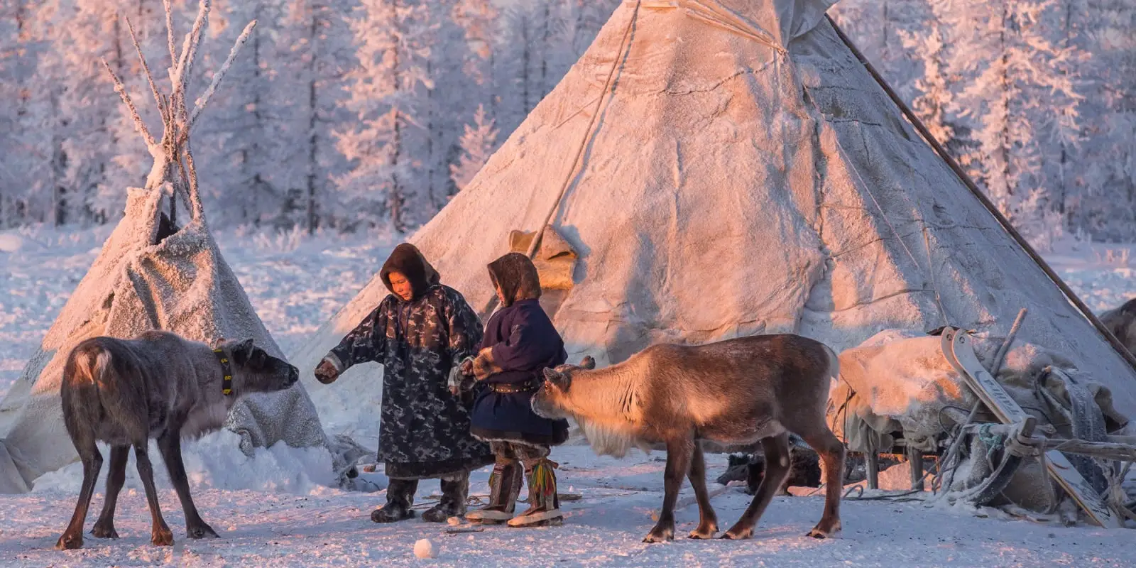 Yamal Peninsula Travel Guide How To Visit With The Nenets
