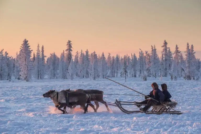 Yamal Peninsula Travel Guide - How To Visit With The Nenets