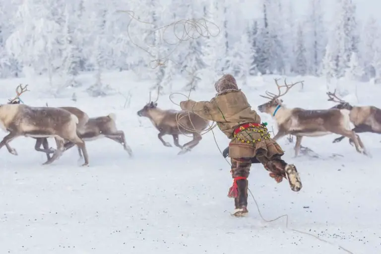 Yamal Peninsula Travel Guide - How To Visit With The Nenets